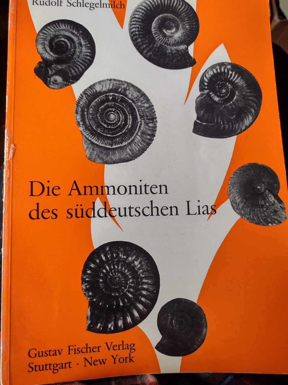 Schlegelmilch: Die Ammoniten des süddeutschen Lias