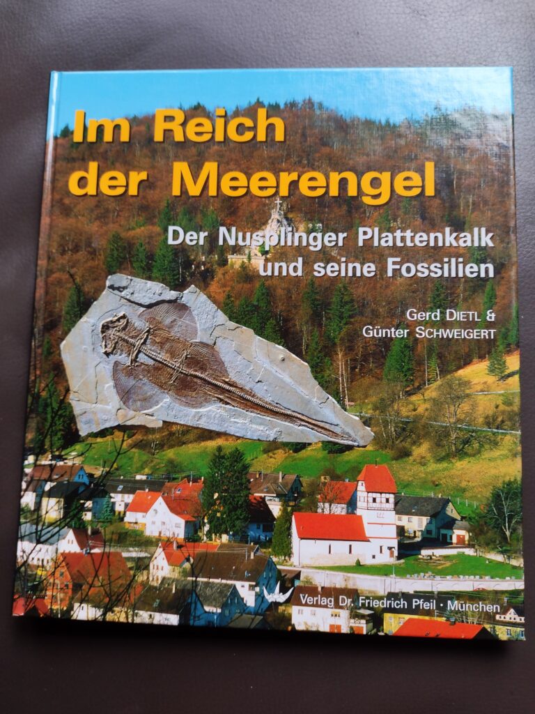 Buch, Im Reich der Meerengel, Nusplinger Plattenkalk