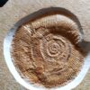 Lithacoceras ulmense, Malm, Plattenkalk, Nusplingen