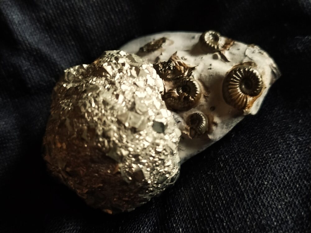 IMG_20250619_204938 Drei hübsche Pyritknollen mit Fossilien von Reichenbach bei Aalen, Lias * reserviert *