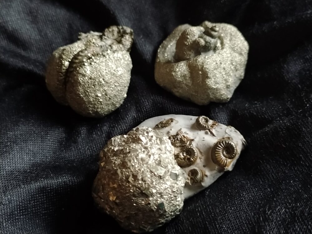 IMG_20250619_204957 Drei hübsche Pyritknollen mit Fossilien von Reichenbach bei Aalen, Lias * reserviert *