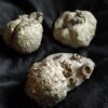 Drei hübsche Pyritknollen mit Fossilien von Reichenbach bei Aalen, Lias  * reserviert *