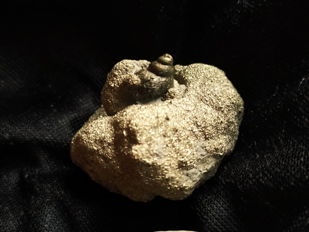 IMG_20250619_205018 Drei hübsche Pyritknollen mit Fossilien von Reichenbach bei Aalen, Lias * reserviert *