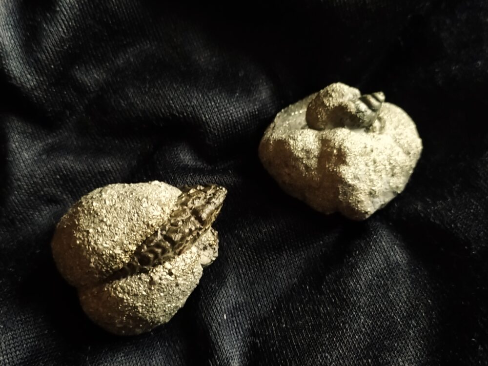 IMG_20250619_205105 Drei hübsche Pyritknollen mit Fossilien von Reichenbach bei Aalen, Lias * reserviert *