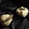 Drei hübsche Pyritknollen mit Fossilien von Reichenbach bei Aalen, Lias  * reserviert *