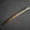 Belemnit: Megateuthis elliptica, Dogger, Neuffen  * reserviert *