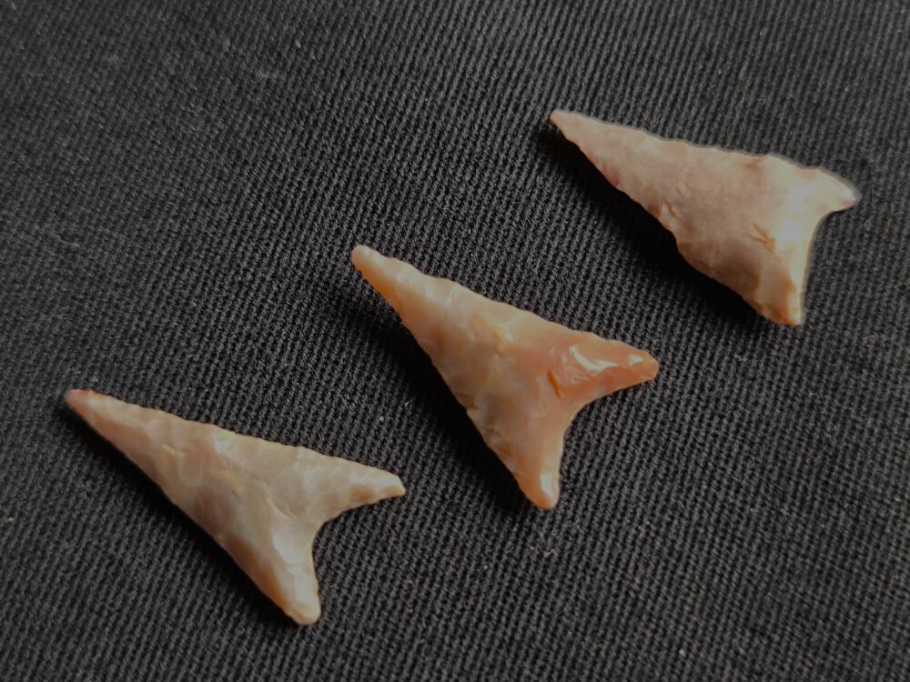 IMG_20251023_131314 drei Pfeilspitzen, Neolithikum, Mauretanien