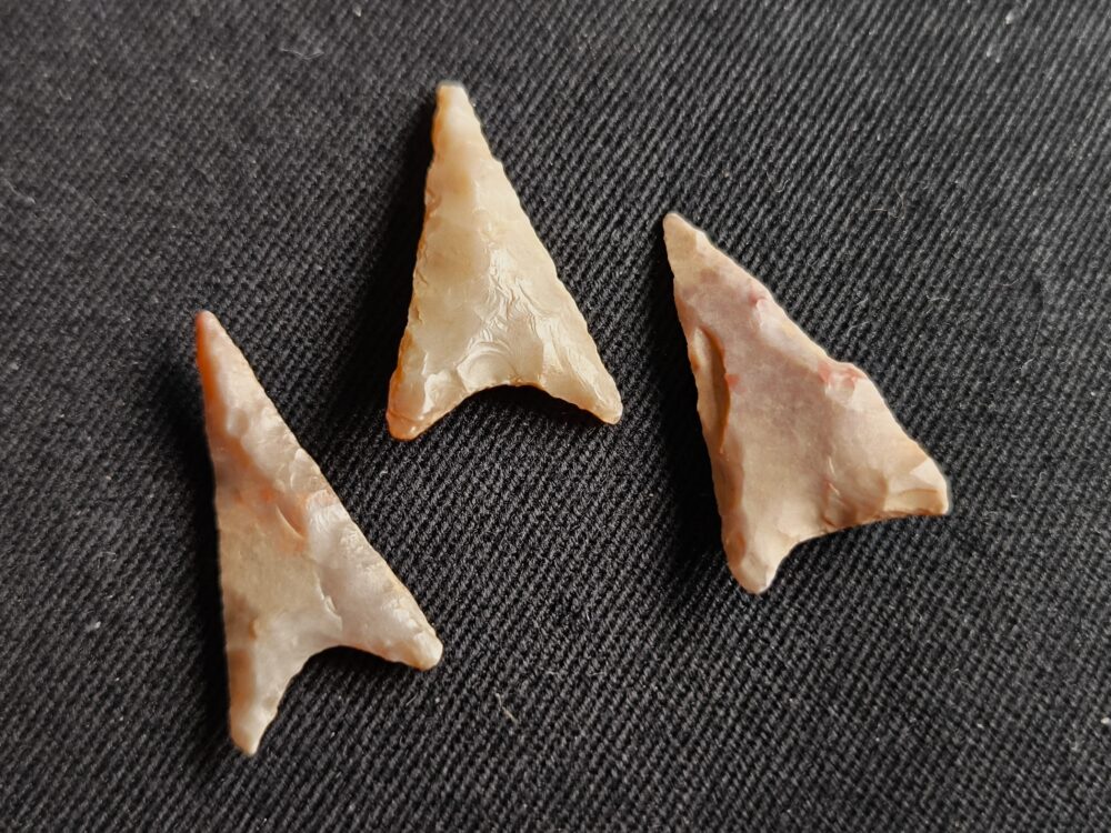 IMG_20251023_131358 drei Pfeilspitzen, Neolithikum, Mauretanien