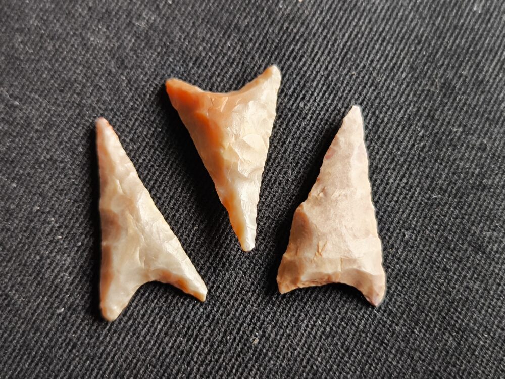 IMG_20251023_131423 drei Pfeilspitzen, Neolithikum, Mauretanien