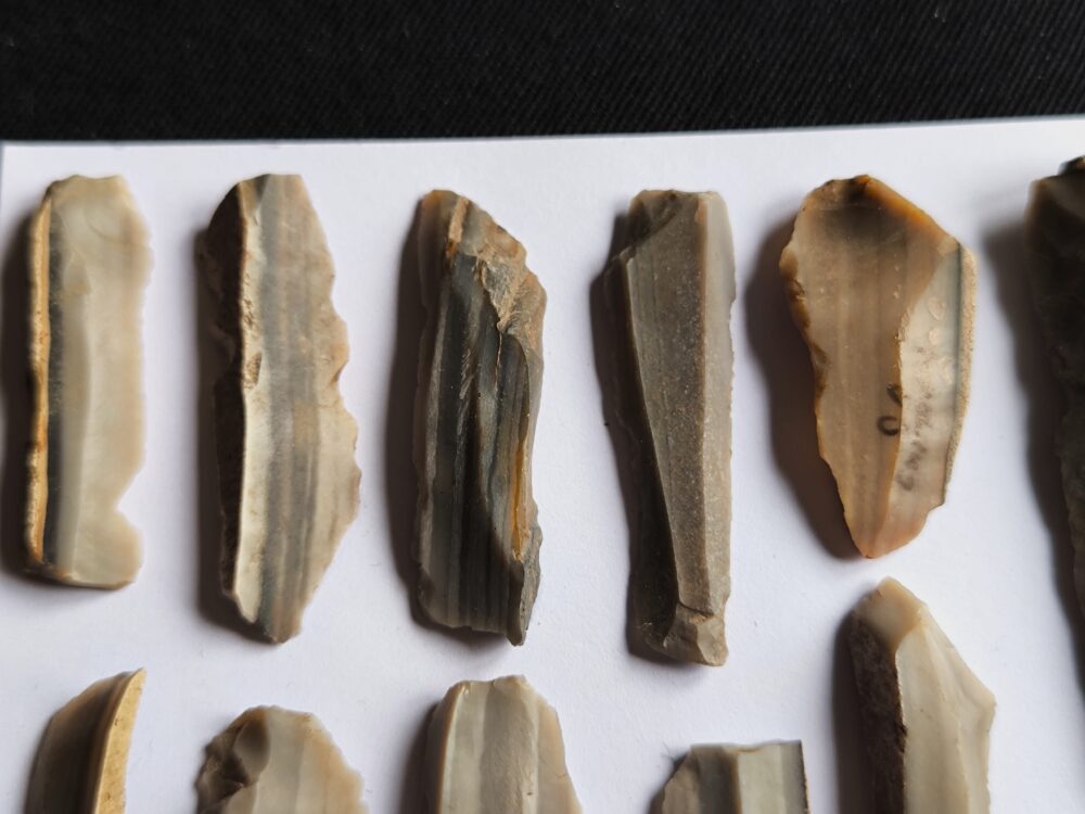 IMG_20251023_131453 Konvolut Silexklingen, Neolithikum, Bayern