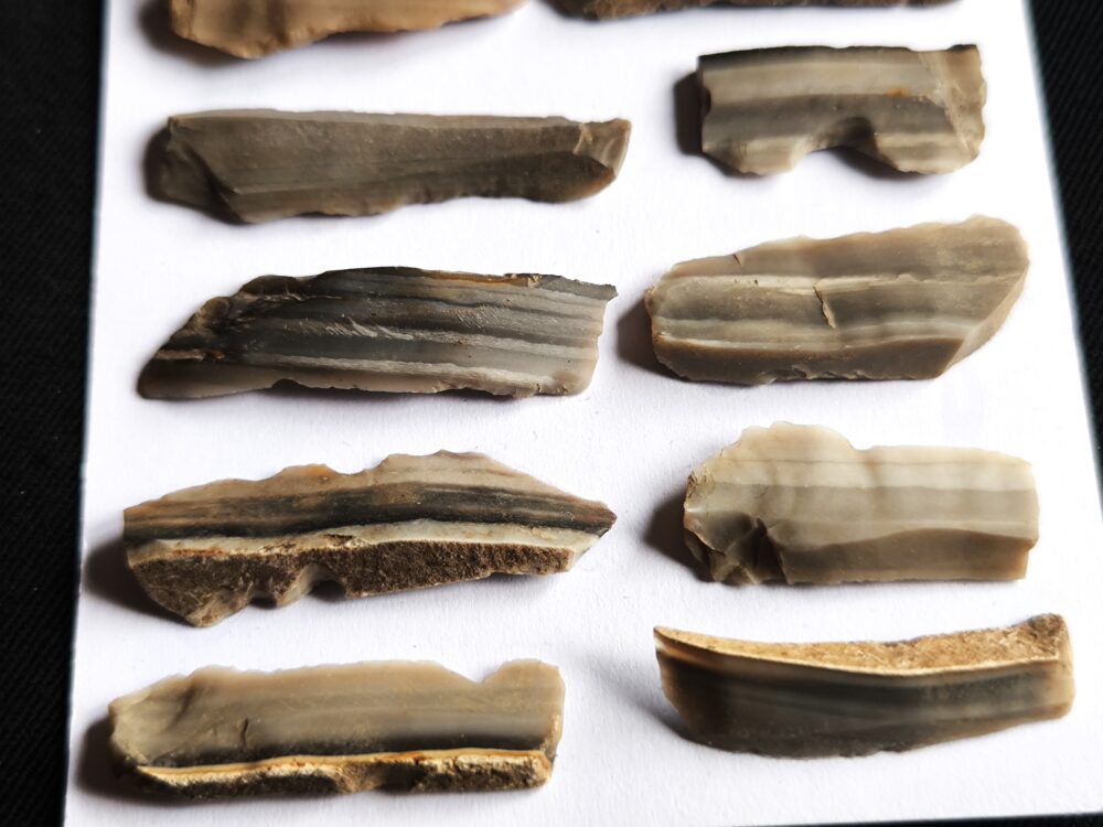 IMG_20251023_131534 Konvolut Silexklingen, Neolithikum, Bayern