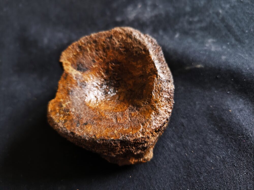 IMG_20251026_154225 Sehr großer Wirbel, Ichthyosaurier, Lias, Altdorf