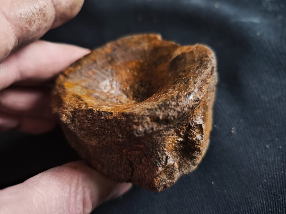 IMG_20251026_154300 Sehr großer Wirbel, Ichthyosaurier, Lias, Altdorf