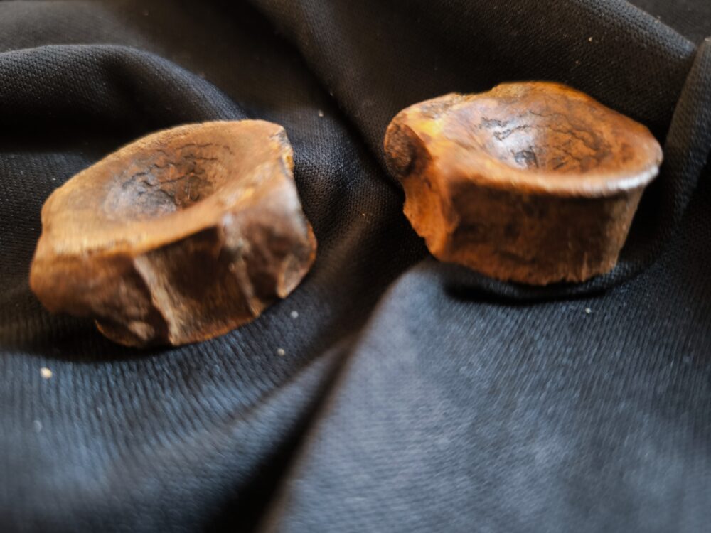 Zwei Wirbel vom Ichthyosaurier, Lias, Dewangen bei Aalen  * reserviert *