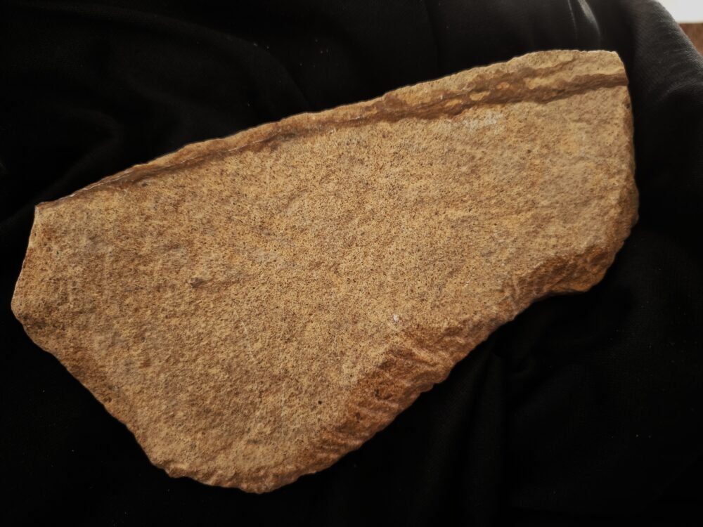großes Fragment einer Panzerplatte von Plagiosternum granulosum, Trias, Grenzbonebed Muschelkalk / Keuper, Zwingelhausen * reserviert*