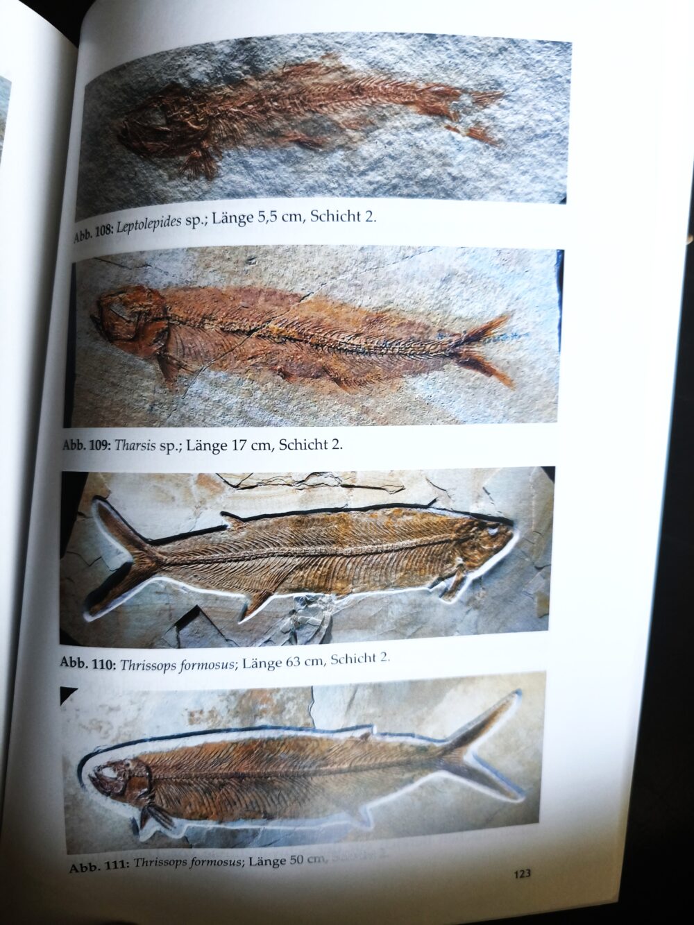 Neuerscheinung!! Die Lagune von Brunn, Jurassic Park in Ostbayern