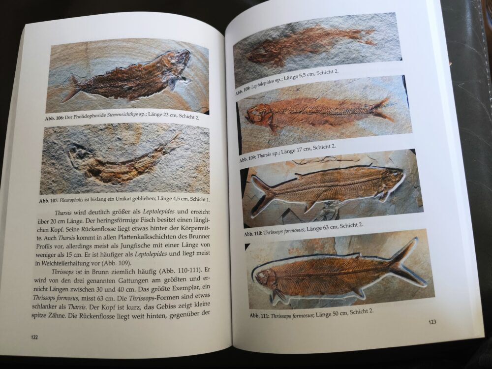 Neuerscheinung!! Die Lagune von Brunn, Jurassic Park in Ostbayern