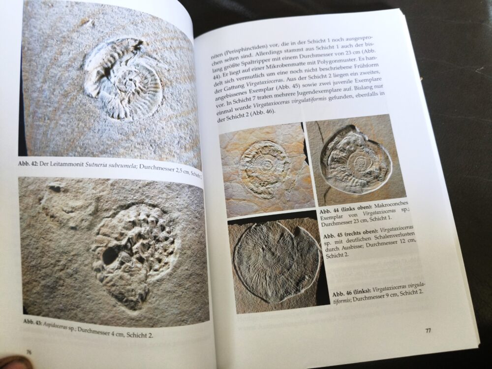 Neuerscheinung!! Die Lagune von Brunn, Jurassic Park in Ostbayern