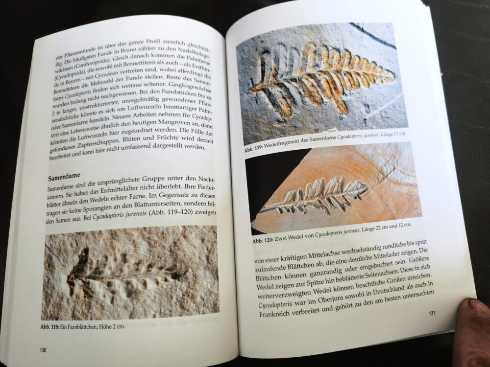 Neuerscheinung!! Die Lagune von Brunn, Jurassic Park in Ostbayern