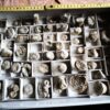 über 50 Korallen, Malm, Sotzenhausener Bühl bei Blaubeuren