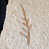 Kleiner Wedel von Palaeocyparis sternbergi, Positiv und Negativ, Malm, Plattenkalk, Nusplingen