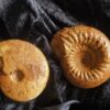 Stephanoceras mutabile und Oppelia subradiata, Dogger, Evrecy, Normandie