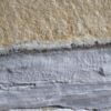 schöner Tintenfisch, Pesioteuthis prisca, Malm, Eichstätt