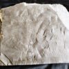 Schöne Platte mit Hildoceras lusitanicum, Lias, Holzmaden  * reserviert *