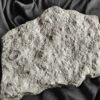 Sehr schöne Platte mit Lima striata und Hoernesia socialis, Oberer Muschelkalk, Neckarrems