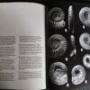 Bestimmungsbuch, Viktor Schlampp, Malm Ammoniten