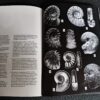 Bestimmungsbuch, Viktor Schlampp, Malm Ammoniten