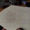 Qualle, Hydromeduse, Palaeoquorea, Malm, Plattenkalk, Painten